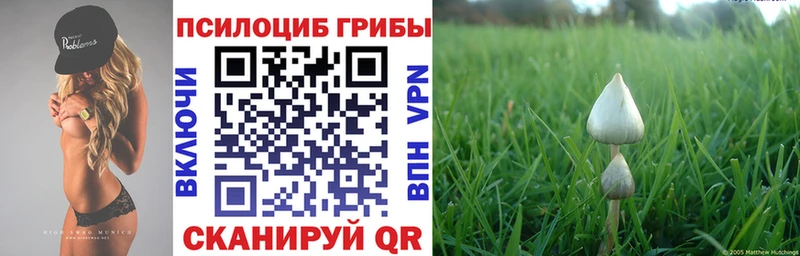 как найти закладки  Верхний Уфалей  Псилоцибиновые грибы ЛСД 